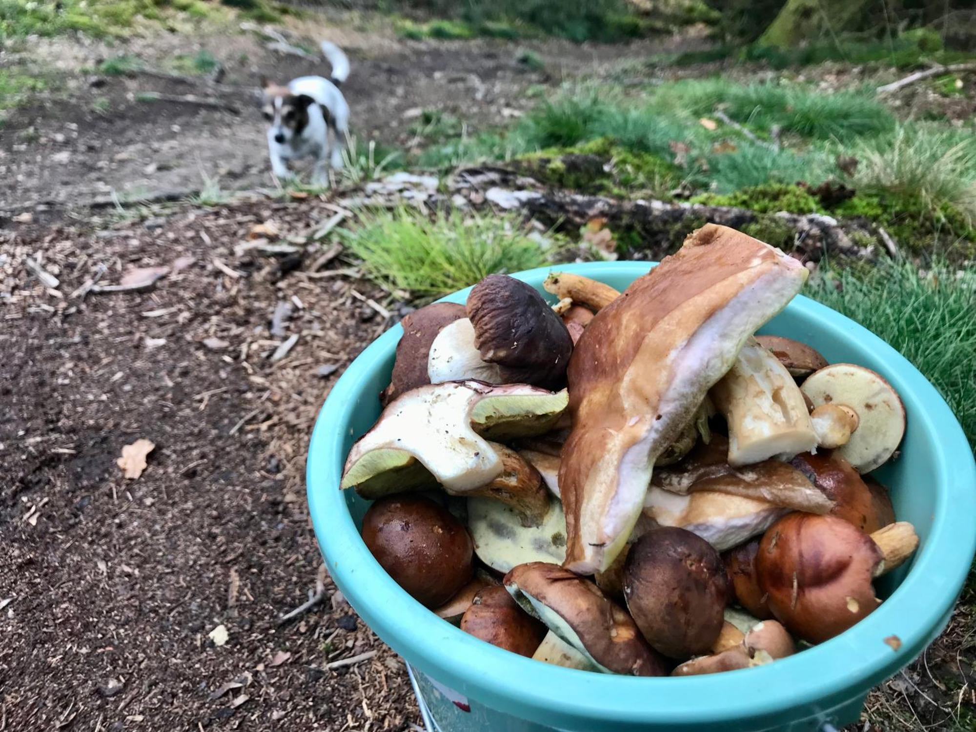Alfie'S Home 马尔梅迪 外观 照片